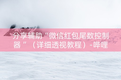 分享辅助“微信红包尾数控制器 ”（详细透视教程）-哔哩哔哩