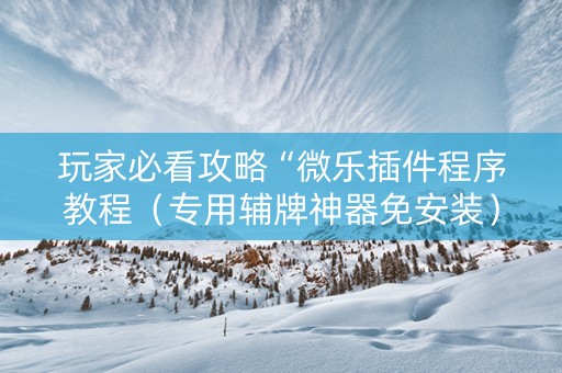 玩家必看攻略“微乐插件程序教程（专用辅牌神器免安装）