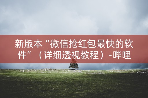 新版本“微信抢红包最快的软件”（详细透视教程）-哔哩哔哩
