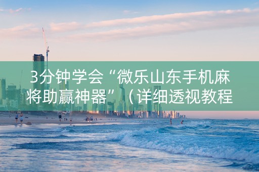 3分钟学会“微乐山东手机麻将助赢神器”（详细透视教程）-哔哩哔哩