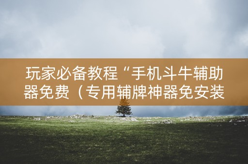 玩家必备教程“手机斗牛辅助器免费（专用辅牌神器免安装）