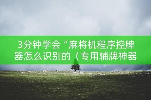 3分钟学会“麻将机程序控牌器怎么识别的（专用辅牌神器免安装）