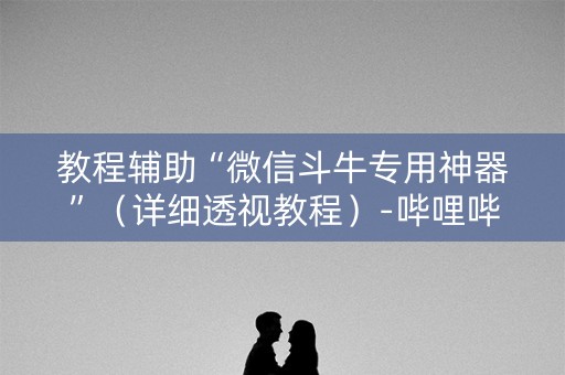 教程辅助“微信斗牛专用神器”（详细透视教程）-哔哩哔哩