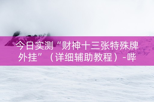 今日实测“财神十三张特殊牌外挂”（详细辅助教程）-哔哩哔哩