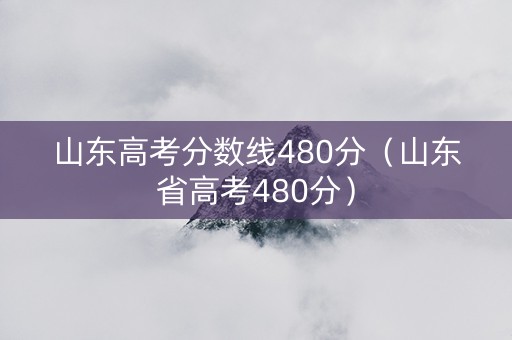山东高考分数线480分（山东省高考480分）