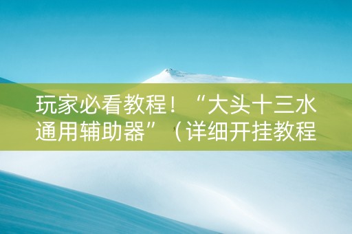 玩家必看教程！“大头十三水通用辅助器”（详细开挂教程）-哔哩哔哩