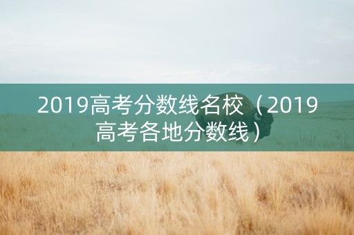 2019高考分数线名校（2019高考各地分数线）