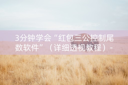 3分钟学会“红包三公控制尾数软件”（详细透视教程）-哔哩哔哩