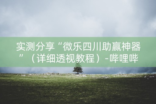 实测分享“微乐四川助赢神器”（详细透视教程）-哔哩哔哩