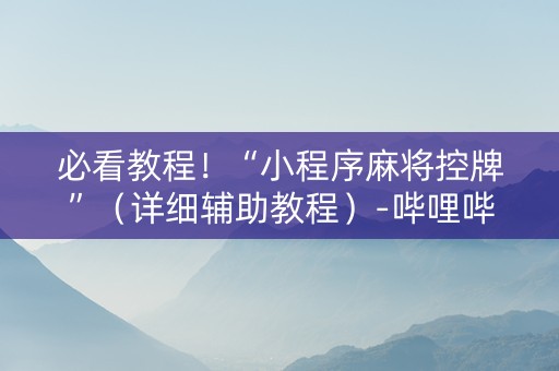 必看教程！“小程序麻将控牌”（详细辅助教程）-哔哩哔哩