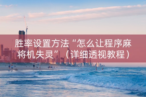 胜率设置方法“怎么让程序麻将机失灵”（详细透视教程）-哔哩哔哩