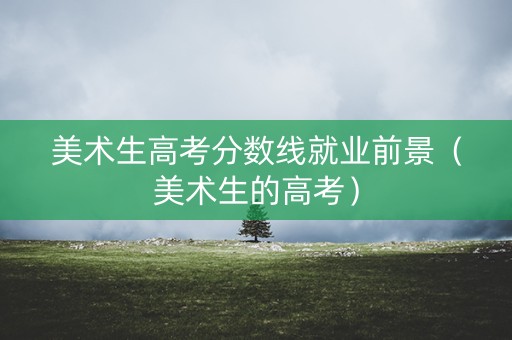 美术生高考分数线就业前景（美术生的高考）