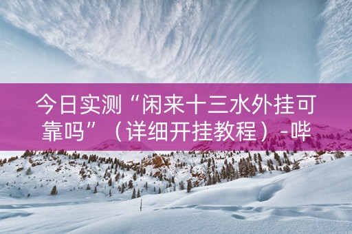 今日实测“闲来十三水外挂可靠吗”（详细开挂教程）-哔哩哔哩