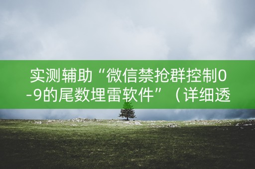 实测辅助“微信禁抢群控制0-9的尾数埋雷软件”（详细透视教程）-哔哩哔哩