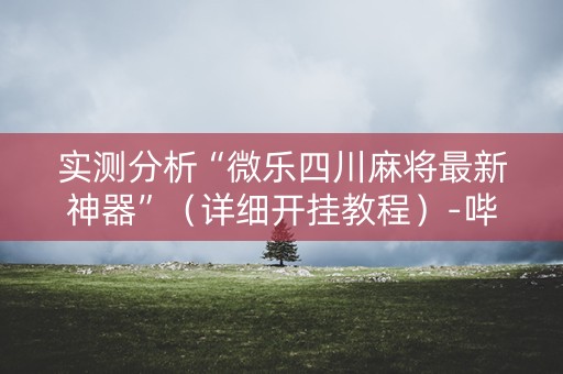 实测分析“微乐四川麻将最新神器”（详细开挂教程）-哔哩哔哩