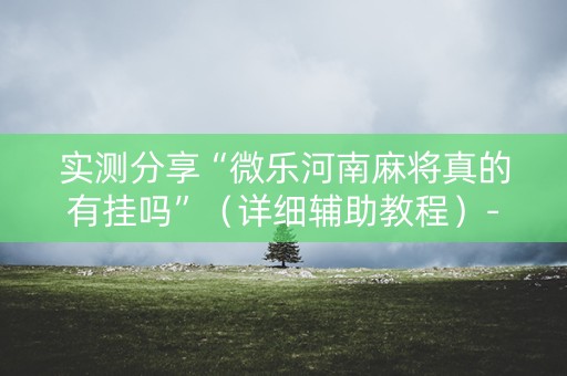 实测分享“微乐河南麻将真的有挂吗”（详细辅助教程）-哔哩哔哩