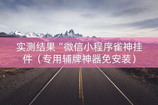 实测结果“微信小程序雀神挂件（专用辅牌神器免安装）