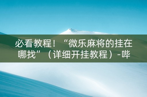 必看教程！“微乐麻将的挂在哪找”（详细开挂教程）-哔哩哔哩