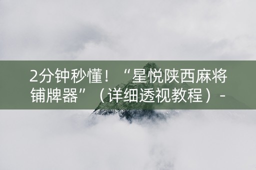 2分钟秒懂！“星悦陕西麻将铺牌器”（详细透视教程）-哔哩哔哩