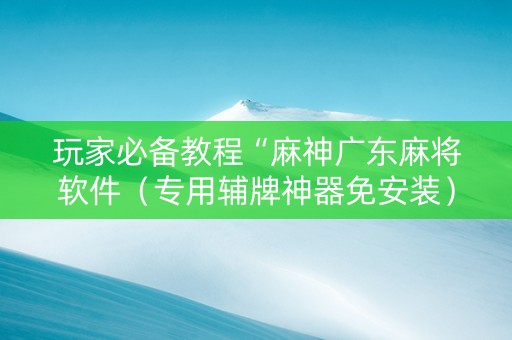 玩家必备教程“麻神广东麻将软件（专用辅牌神器免安装）