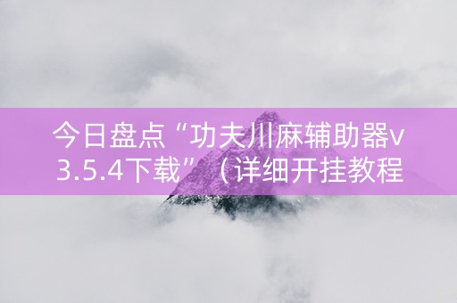 今日盘点“功夫川麻辅助器v3.5.4下载”（详细开挂教程）-哔哩哔哩