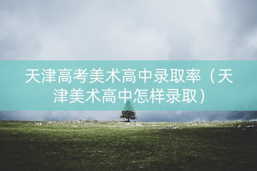 天津高考美术高中录取率（天津美术高中怎样录取）