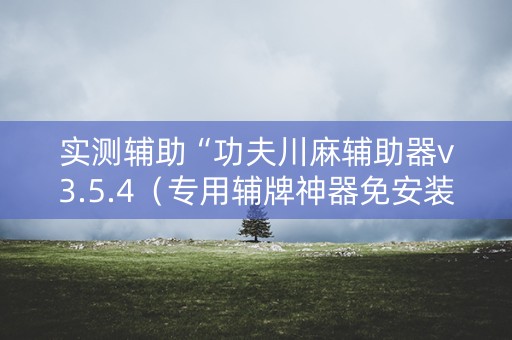 实测辅助“功夫川麻辅助器v3.5.4（专用辅牌神器免安装）