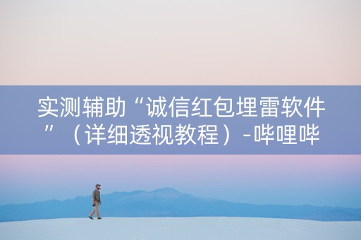 实测辅助“诚信红包埋雷软件”（详细透视教程）-哔哩哔哩