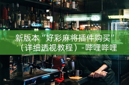 新版本“好彩麻将插件购买”（详细透视教程）-哔哩哔哩