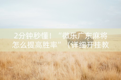 2分钟秒懂！“微乐广东麻将怎么提高胜率”（详细开挂教程）-哔哩哔哩