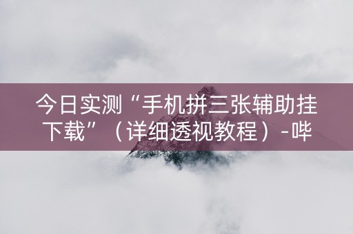 今日实测“手机拼三张辅助挂下载”（详细透视教程）-哔哩哔哩