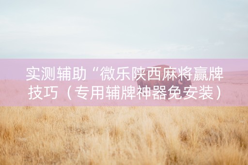 实测辅助“微乐陕西麻将赢牌技巧（专用辅牌神器免安装）