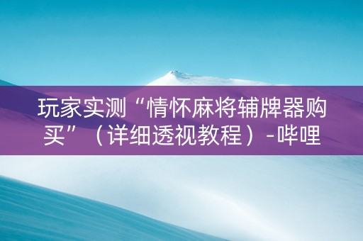 玩家实测“情怀麻将辅牌器购买”（详细透视教程）-哔哩哔哩