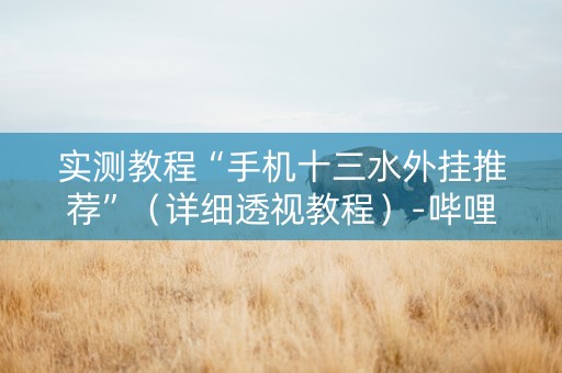 实测教程“手机十三水外挂推荐”（详细透视教程）-哔哩哔哩