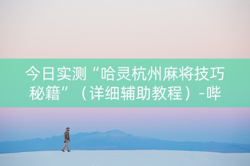 今日实测“哈灵杭州麻将技巧秘籍”（详细辅助教程）-哔哩哔哩
