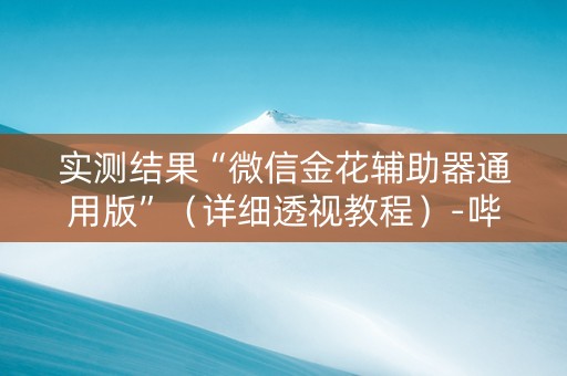 实测结果“微信金花辅助器通用版”（详细透视教程）-哔哩哔哩