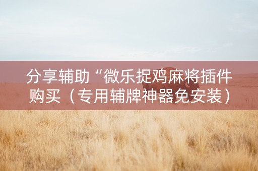 分享辅助“微乐捉鸡麻将插件购买（专用辅牌神器免安装）