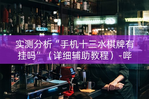实测分析“手机十三水棋牌有挂吗”（详细辅助教程）-哔哩哔哩