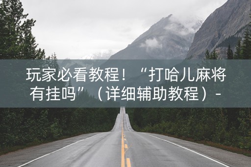 玩家必看教程！“打哈儿麻将有挂吗”（详细辅助教程）-哔哩哔哩