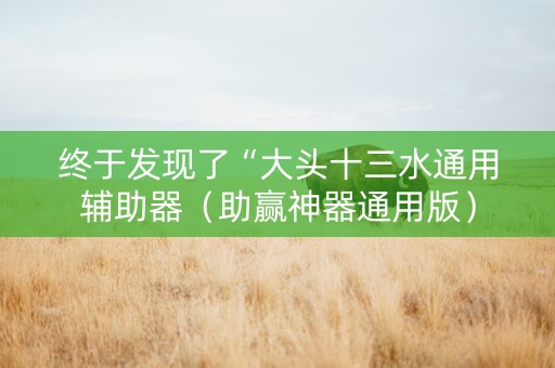 终于发现了“大头十三水通用辅助器（助赢神器通用版）