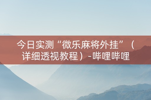 今日实测“微乐麻将外挂”（详细透视教程）-哔哩哔哩