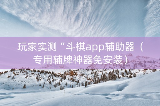 玩家实测“斗棋app辅助器（专用辅牌神器免安装）