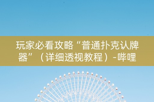 玩家必看攻略“普通扑克认牌器”（详细透视教程）-哔哩哔哩