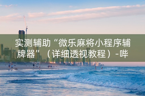 实测辅助“微乐麻将小程序辅牌器”（详细透视教程）-哔哩哔哩