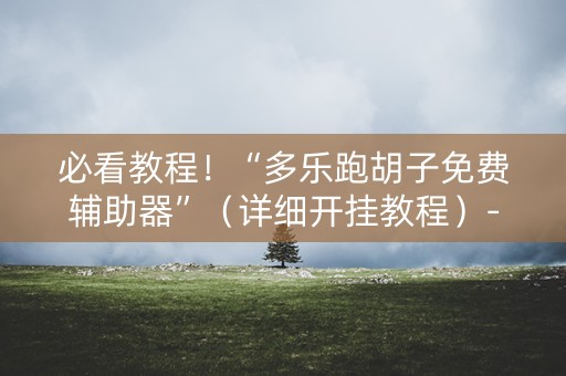 必看教程！“多乐跑胡子免费辅助器”（详细开挂教程）-哔哩哔哩