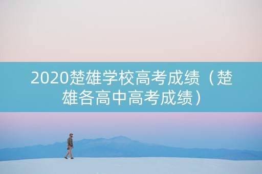2020楚雄学校高考成绩（楚雄各高中高考成绩）
