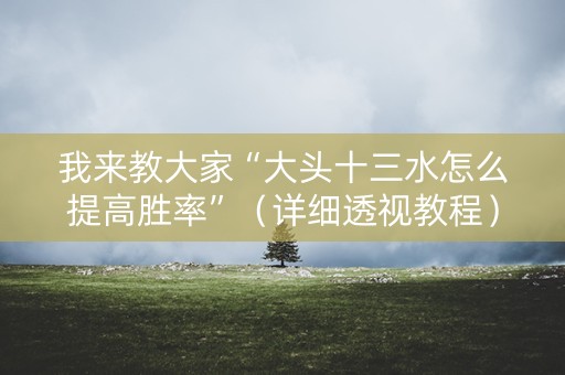 我来教大家“大头十三水怎么提高胜率”（详细透视教程）-哔哩哔哩