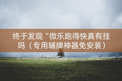 终于发现“微乐跑得快真有挂吗（专用辅牌神器免安装）