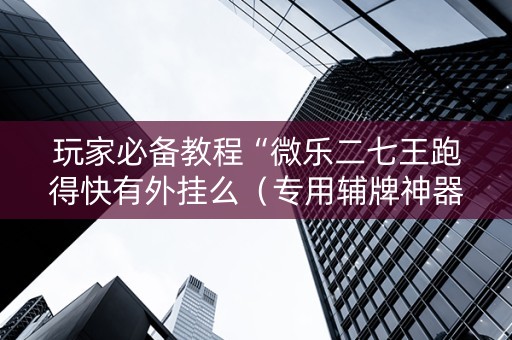 玩家必备教程“微乐二七王跑得快有外挂么（专用辅牌神器免安装）