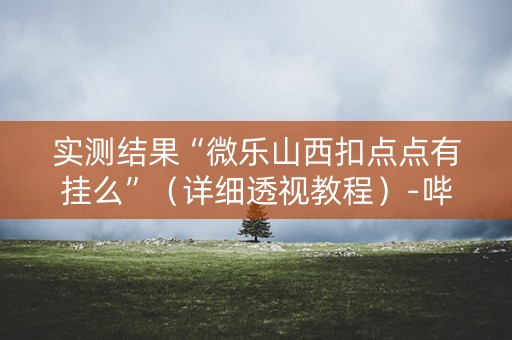 实测结果“微乐山西扣点点有挂么”（详细透视教程）-哔哩哔哩